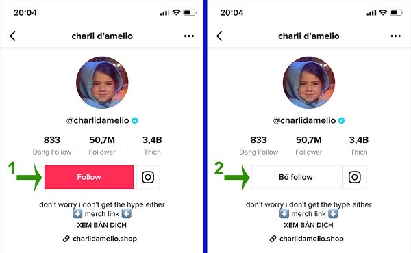 hack-follow-tiktok