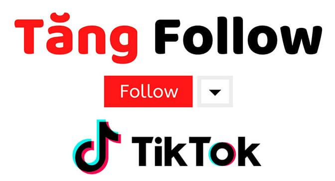 tang-follow-tiktok